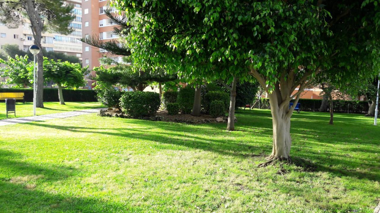 Apartamento Edificio Provima B 5 بينايدورم المظهر الخارجي الصورة